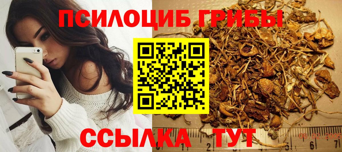 Псилоцибиновые грибы мицелий  Псилоцибиновые грибы мухоморы  Ишимбай  Вход с VPN 