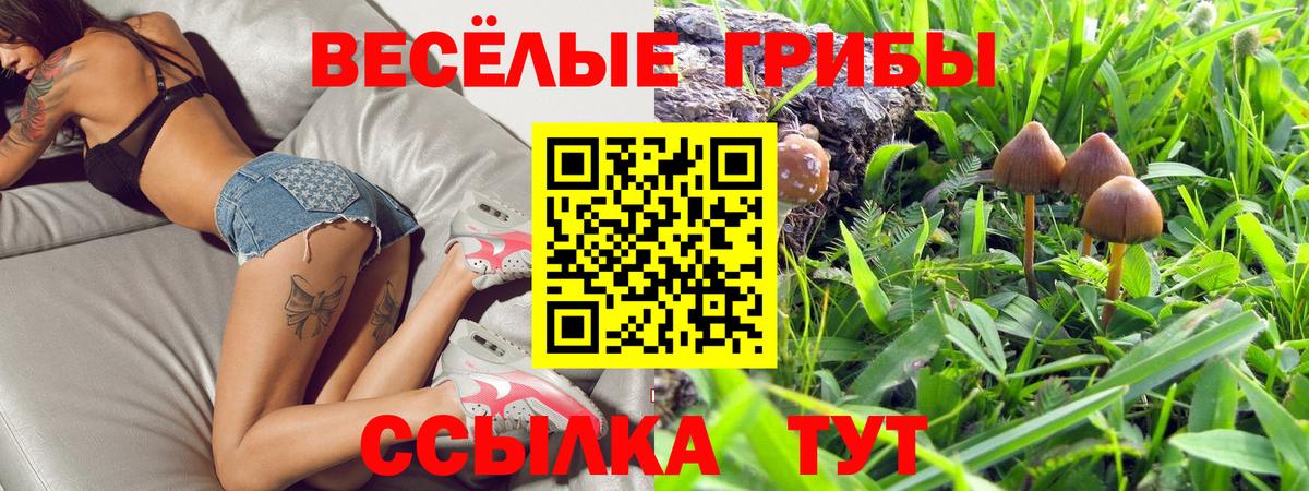 Галлюциногенные грибы ЛСД Ишимбай